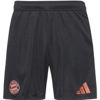 adidas FC Bayern München 24-25 Auswärts Fußballshorts Herren