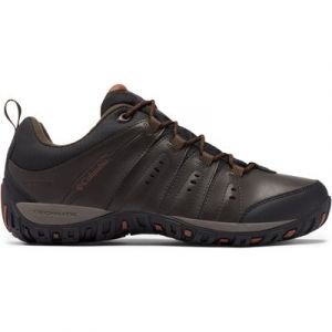 Trekkingschuhe Columbia Woodburn II Waterproof 1553001 Braun