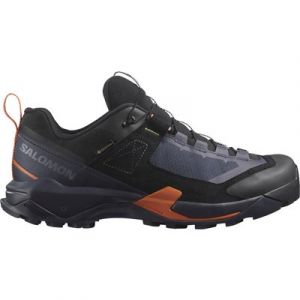 Salomon X ULTRA ALPINE GTX Wanderschuhe Herren