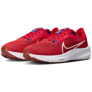 Nike Laufschuh "PEGASUS 40"