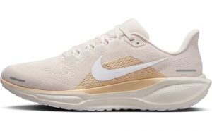 Nike Herren Air Zoom Pegasus 41 Laufschuh