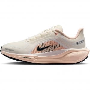 Nike Pegasus 41 GTX