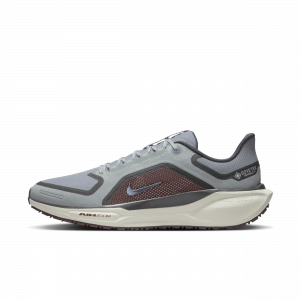 Nike Pegasus 41 GORE-TEX wasserdichter Straßenlaufschuh (Herren) - Grau