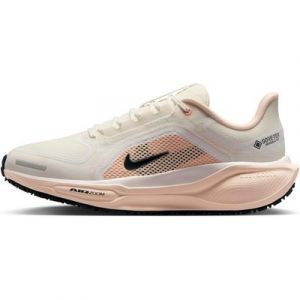 Nike Nike Pegasus 41 GTX Laufschuh