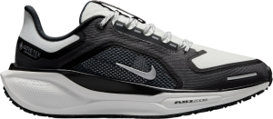 Laufschuhe Nike Pegasus 41 GORE-TEX