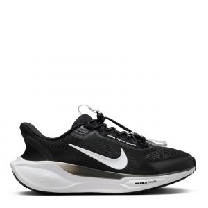 Nike W Pegasus Easyon Road Running Shoes Womens