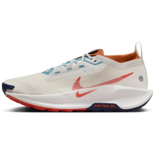 Nike Pegasus Trail 5 GTX