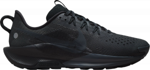 Trail-Schuhe Nike Pegasus Trail 5