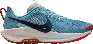 Trail-Schuhe Nike Pegasus Trail 5