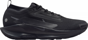 Trail-Schuhe Nike Pegasus Trail 5 GORE-TEX