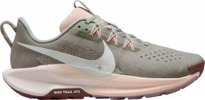 Trail-Schuhe Nike Pegasus Trail 5