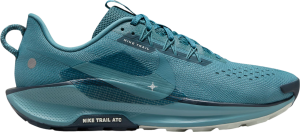 Trail-Schuhe Nike Pegasus Trail 5