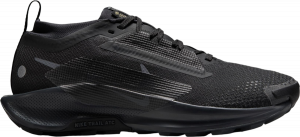 Trail-Schuhe Nike Pegasus Trail 5 GORE-TEX