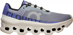 Laufschuhe On Running Cloudmonster