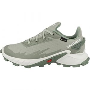 Salomon Damen Shoes Alphacross 4 GTX W Traillaufschuhe