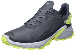 SALOMON Herren Alphacross 4 GTX Traillaufschuh