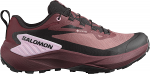 Trail-Schuhe Salomon GENESIS GTX W