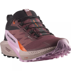 Salomon Laufschuh "SENSE RIDE 5 GORE-TEX", wasserdicht