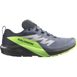 SALOMON Herren Trailrunningschuhe SHOES SENSE RIDE 5 GTX Flint/Black/Grgec