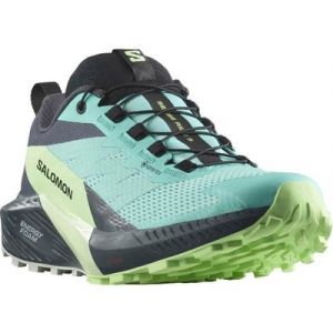 Salomon SENSE RIDE 5 GORE-TEX® W Trailrunningschuh wasserdicht, Trailrunningschuhe