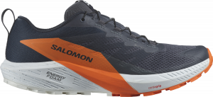 Trail-Schuhe Salomon SENSE RIDE 5 GTX