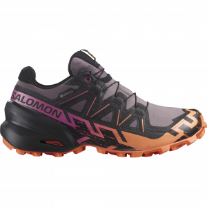 Salomon Speedcross 6 GTX