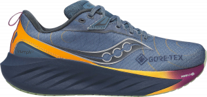 Laufschuhe Saucony TRIUMPH 22 GTX