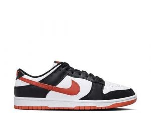 Nike Dunk Low Retro DV0833-108 Herrenschuhe