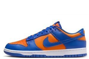 Nike Dunk Low Retro Herrenschuhe (DV0833-800