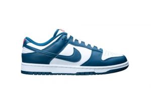 NIKE Herren Dunk Low Retro Sneaker