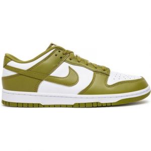 Sneakers Nike Dunk Low Retro DV0833 105 Grün