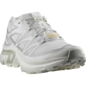 Salomon XT-EVR Sneaker angelehnt an das Design des XT-6, Quicklace?