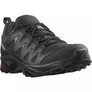 Salomon Wanderschuh "X BRAZE GORE-TEX", wasserdicht