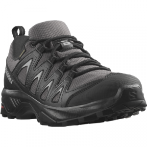 Salomon Wanderschuh "X BRAZE GORE-TEX W", wasserdicht