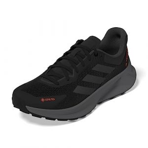 Adidas Herren Terrex Soulstride Flow GTX Shoes-Low (Non Football)