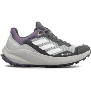 Laufschuhe adidas Terrex Trail Rider GORE-TEX IF5023 Grau