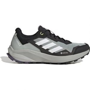 adidas Sportswear TERREX TRAILRIDER GTX WONSIL/CRYWHT/DGSOGR Trailrunningschuh