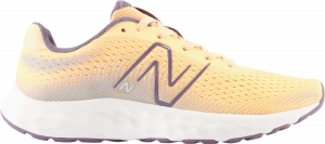 Schuhe New Balance 520 v8