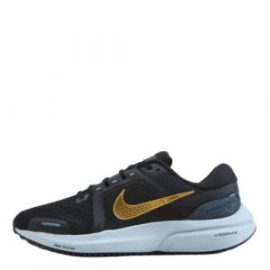 Nike DA7698 - WMNS AIR Zoom Vomero 16 Silber Gr. 7?