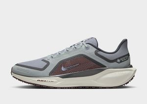 Nike Pegasus 41 GORE-TEX