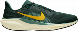 Laufschuhe Nike Pegasus 41