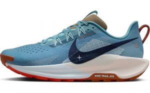 Nike Herren Reactx Pegasus Trail 5 Laufschuh