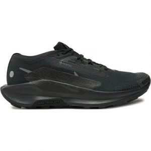 Laufschuhe Nike Pegasus Trail 5 Gtx GORE-TEX FQ0908 002 Schwarz