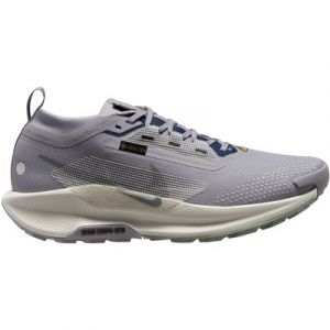 Nike NIKE PEGASUS TRAIL 5 GTX Laufschuhe Herren