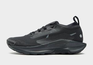 Nike Pegasus Trail 5 GORE-TEX Damen