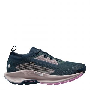 Pegasus Trail 5 Gore Tex Womens Trail Running Shoes