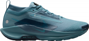 Trail-Schuhe Nike Pegasus Trail 5 GORE-TEX