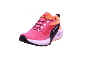 Salomon Damen Sense Ride 5 GTX Trailrunning-Schuhe