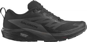 Trail-Schuhe Salomon SENSE RIDE 5 GTX