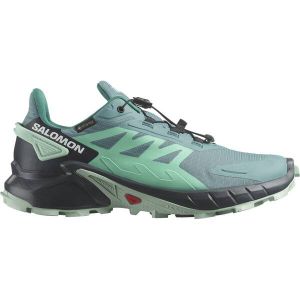 SALOMON Damen Trailrunningschuhe SHOES SUPERCROSS 4 GTX W Dustur/Indink/B